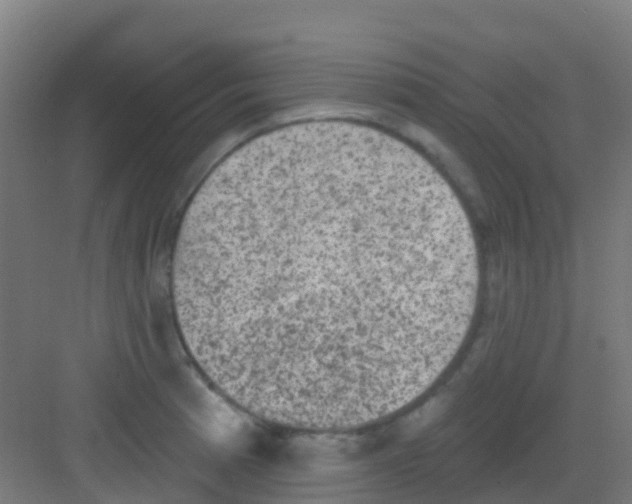 X0000081321185200702082128