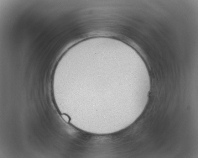 X0000081321187200702082128