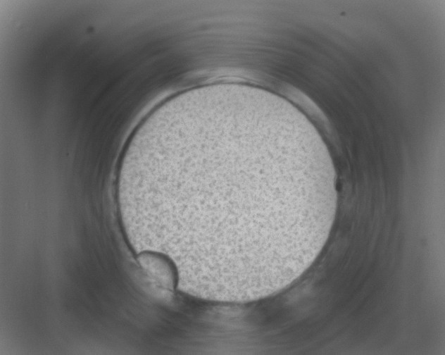 X0000081321190200702082128