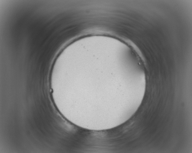 X0000081321191200702082128