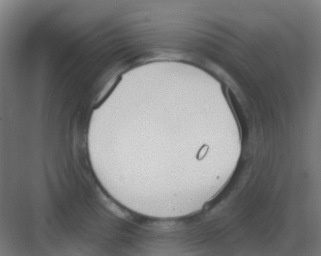 X0000081321193200702082128