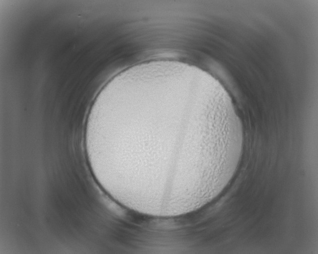 X0000081321194200702082128