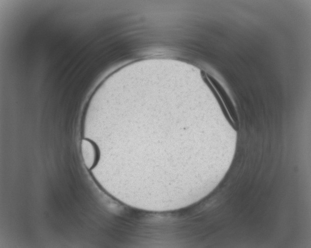 X0000081321195200702082128