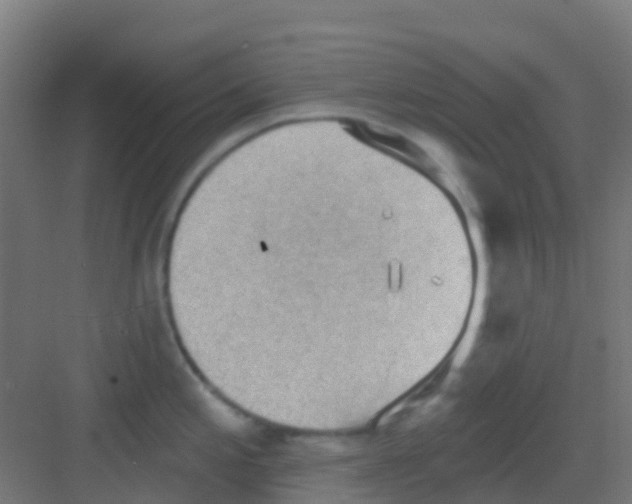 X0000081321197200702082128