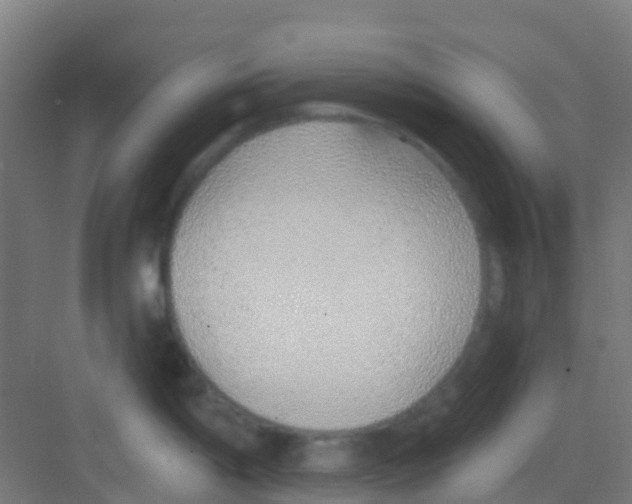 X0000081321198200702082128