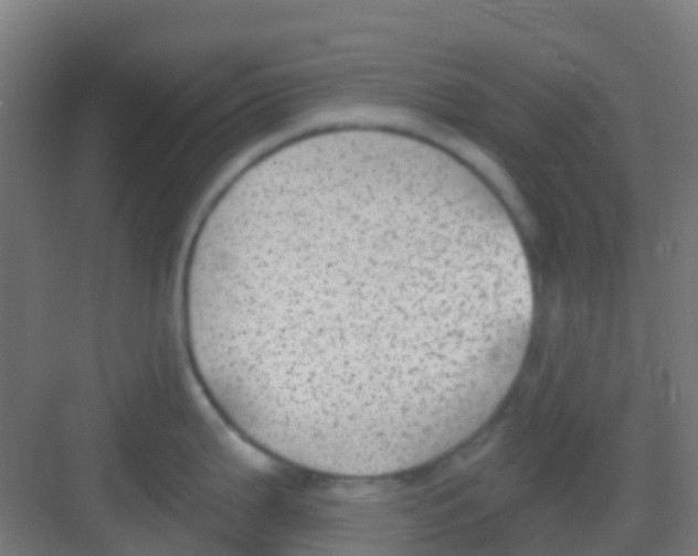 X0000081321199200702082128