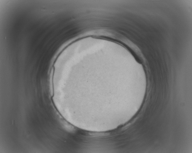 X0000081321200200702082128