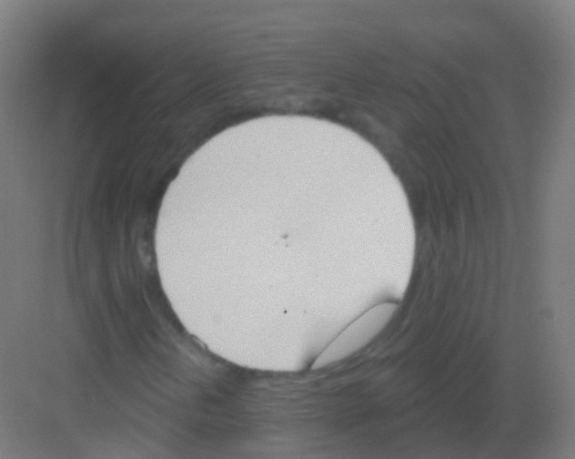 X0000081321202200702082127