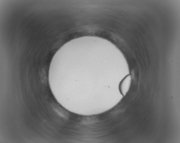 X0000081321203200702082127