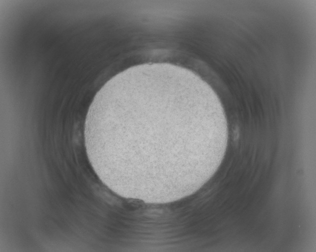 X0000081321204200702082127