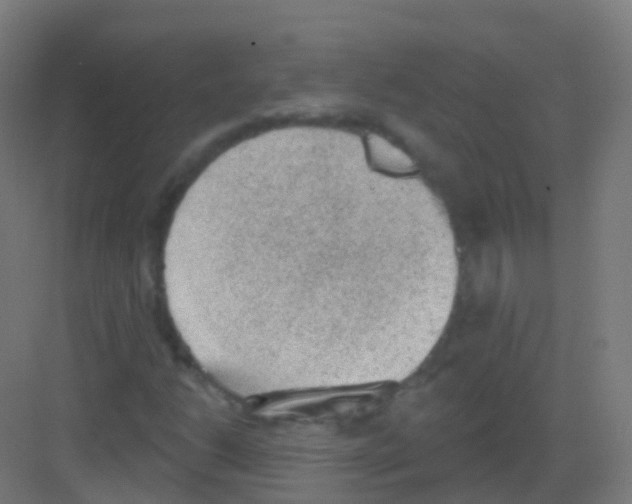 X0000081321206200702082127