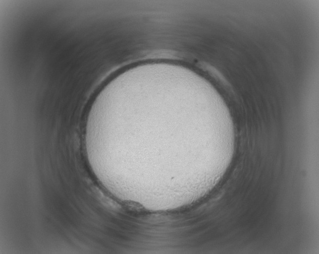 X0000081321212200702082127