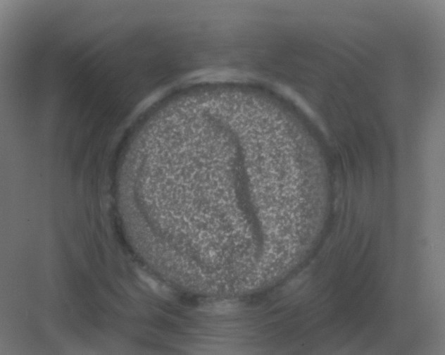 X0000081321213200702082127