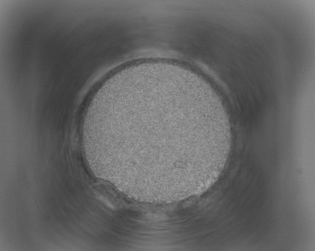 X0000081321215200702082127