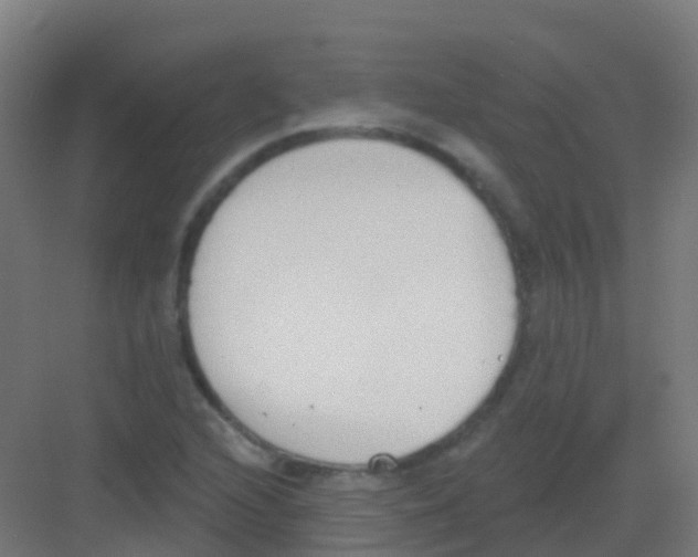 X0000081321216200702082127