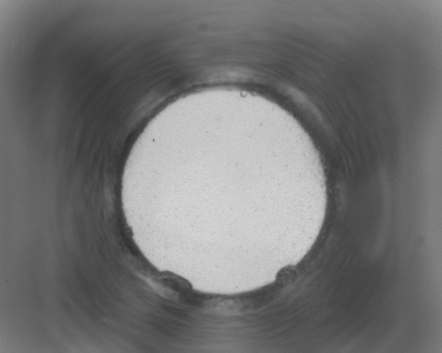 X0000081321217200702082127