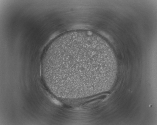 X0000081321219200702082127