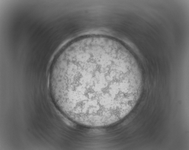 X0000081321224200702082127