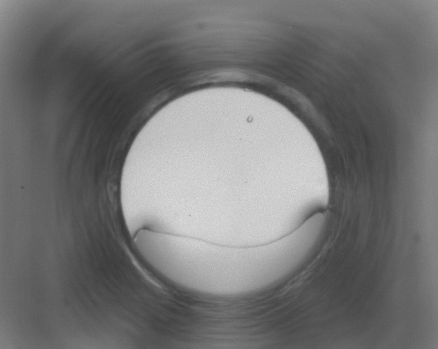 X0000081321225200702082127