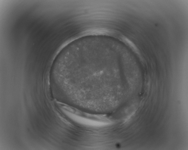 X0000081321226200702082127