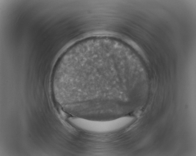 X0000081321229200702082128