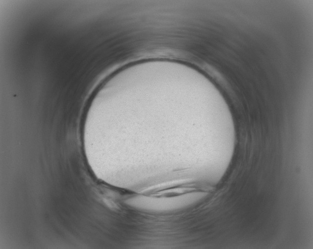 X0000081321230200702082128