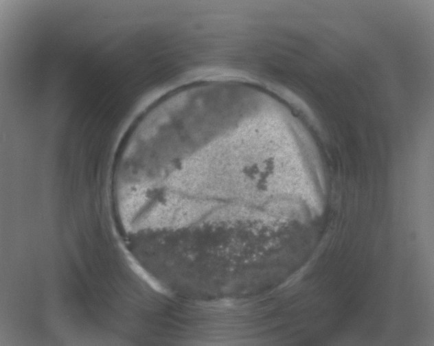 X0000081321231200702082128