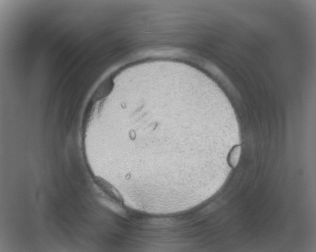 X0000081321232200702082128