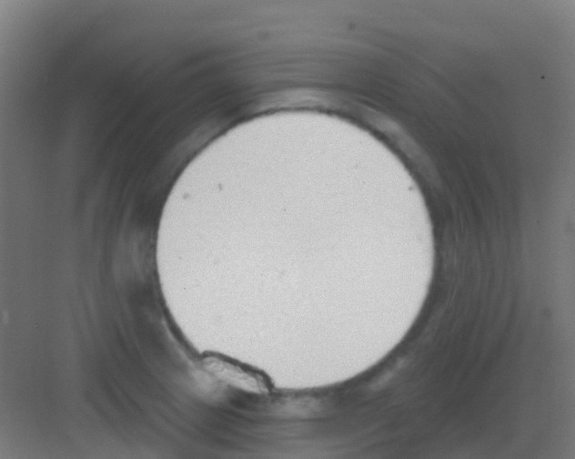 X0000081321233200702082128