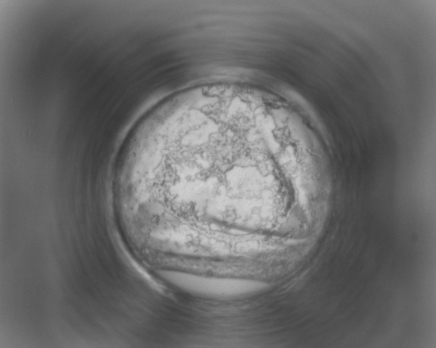 X0000081321235200702082128