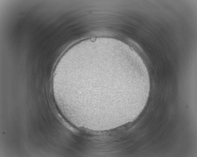 X0000081321236200702082128