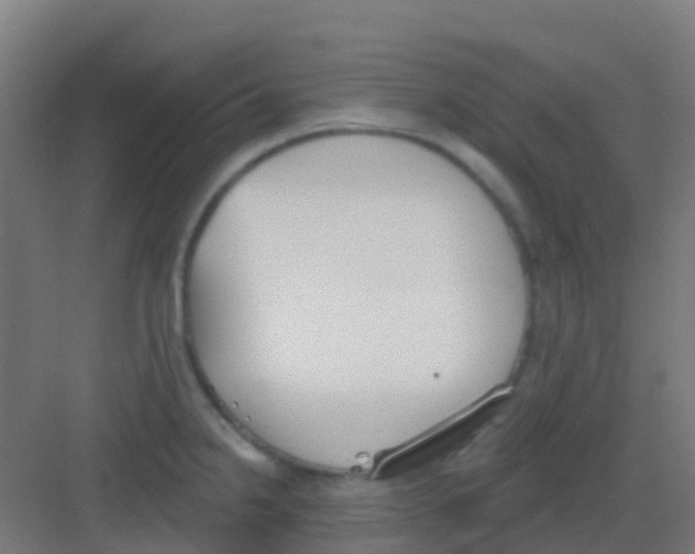 X0000081321238200702082128