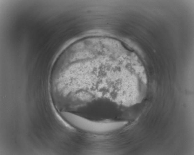 X0000081321239200702082128