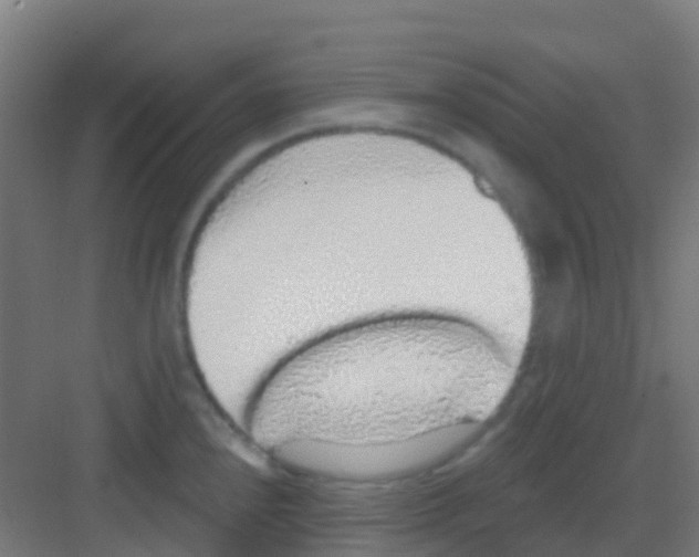 X0000081321240200702082128