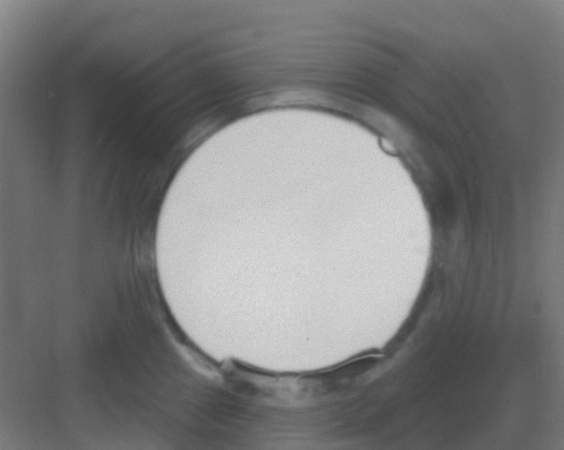 X0000081321241200702082128