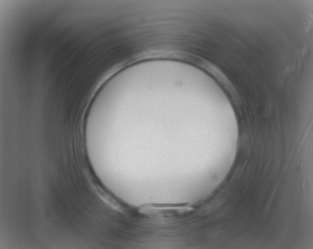 X0000081321242200702082128