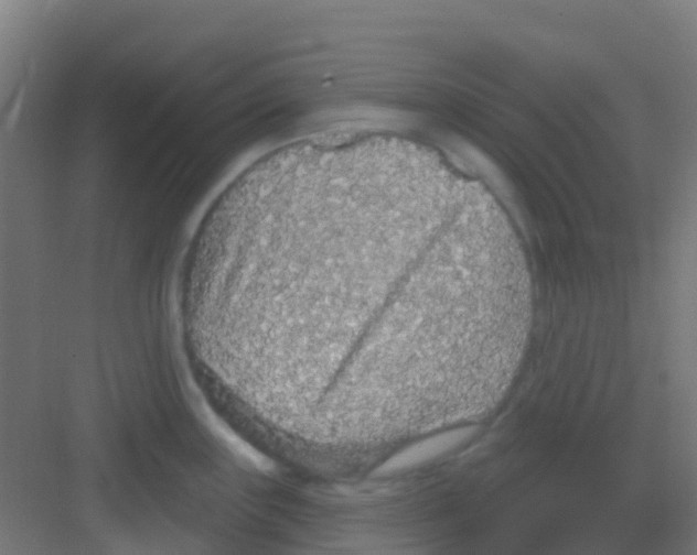 X0000081321243200702082128