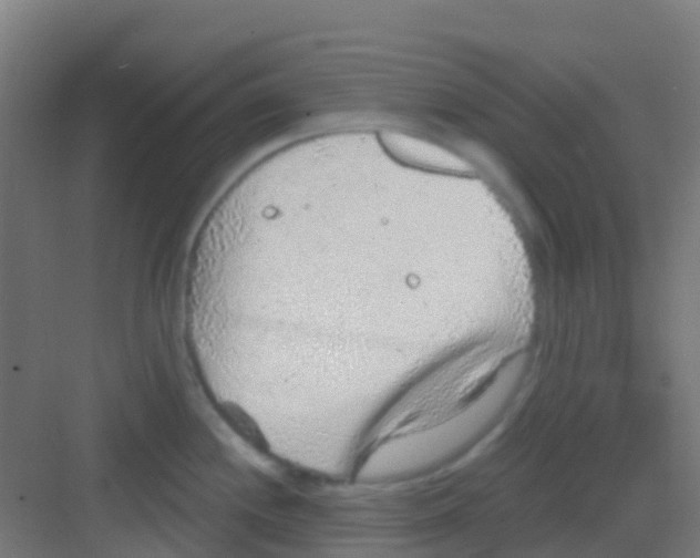 X0000081321244200702082128