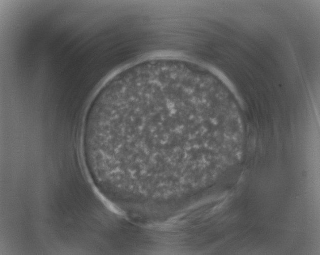 X0000081321245200702082128