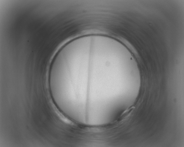 X0000081321246200702082128