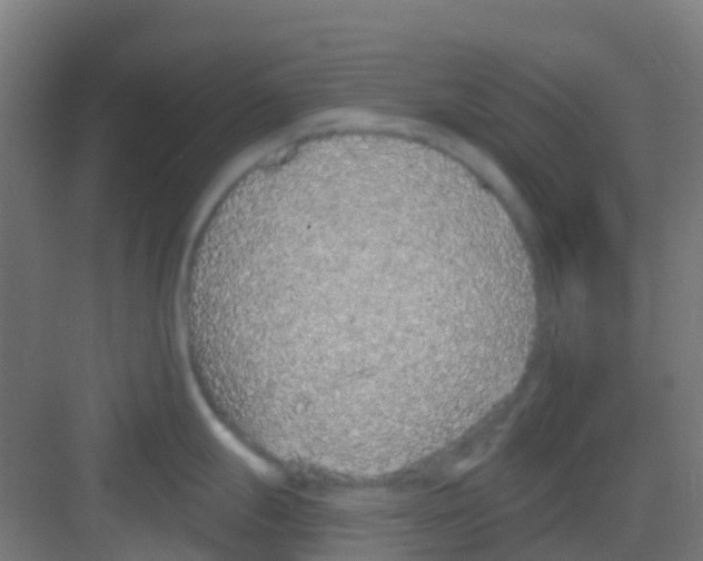 X0000081321247200702082128