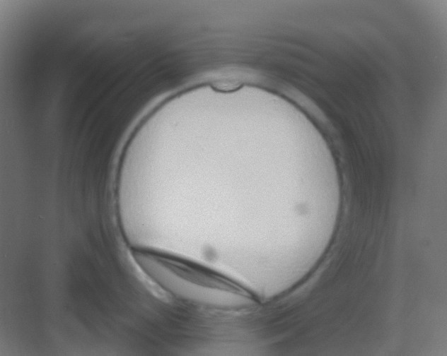 X0000081321248200702082128