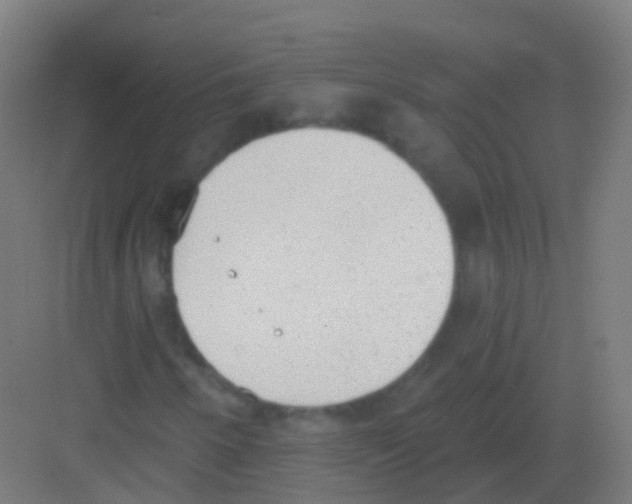 X0000081321250200702082127