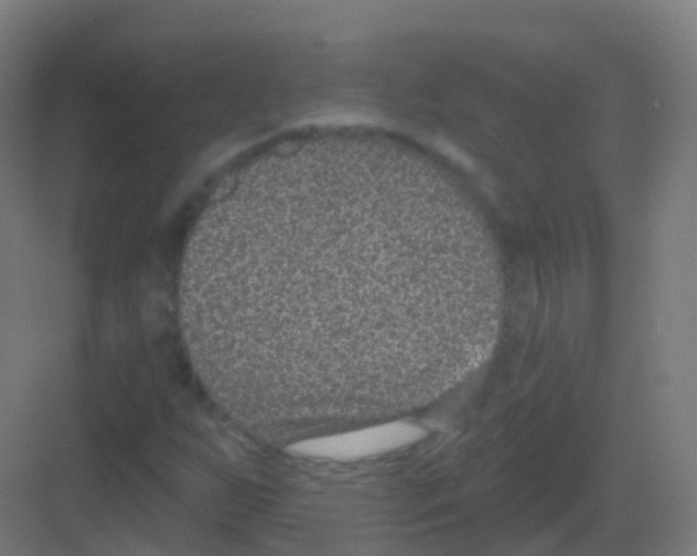 X0000081321255200702082127