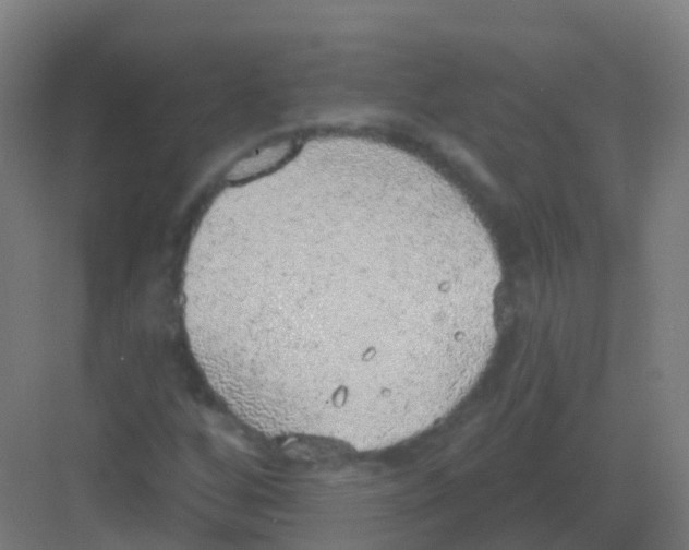 X0000081321256200702082127