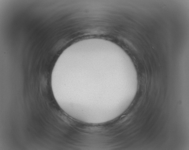 X0000081321257200702082127