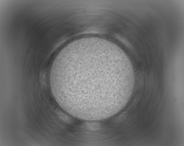 X0000081321258200702082127