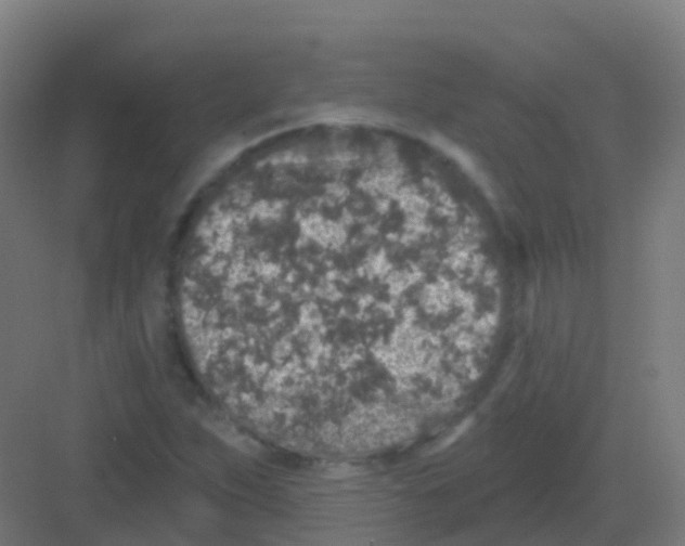 X0000081321263200702082127