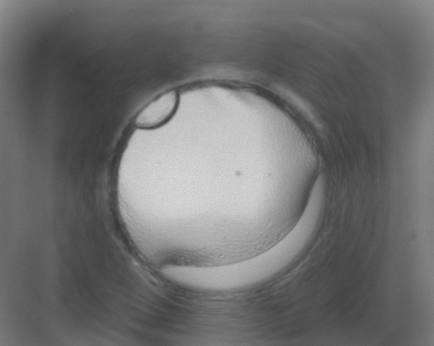 X0000081321264200702082127