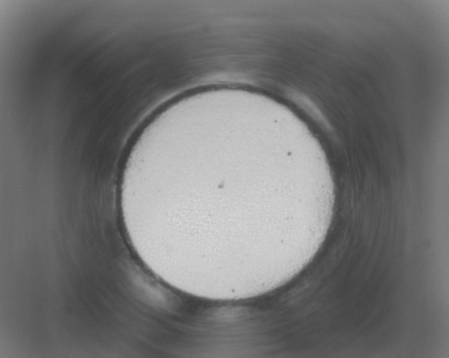 X0000081321268200702082127